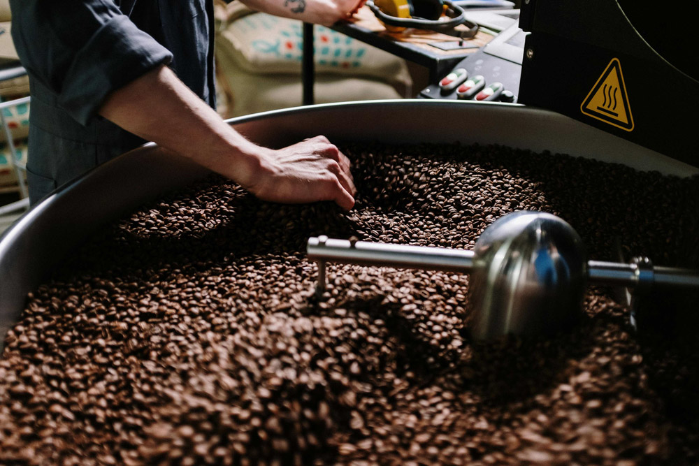 A coffee grinder filled with rich, dark coffee beans, showcasing the start of a brewing process.